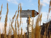 19 torniamo a casa